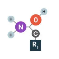 World Fitness Group (HCGRX) logo